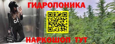 PSILOCYBIN Гусев