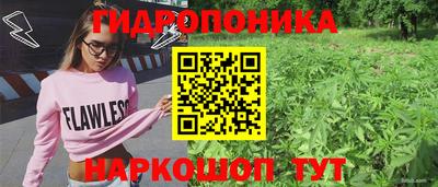 прущий лед Гусь-Хрустальный